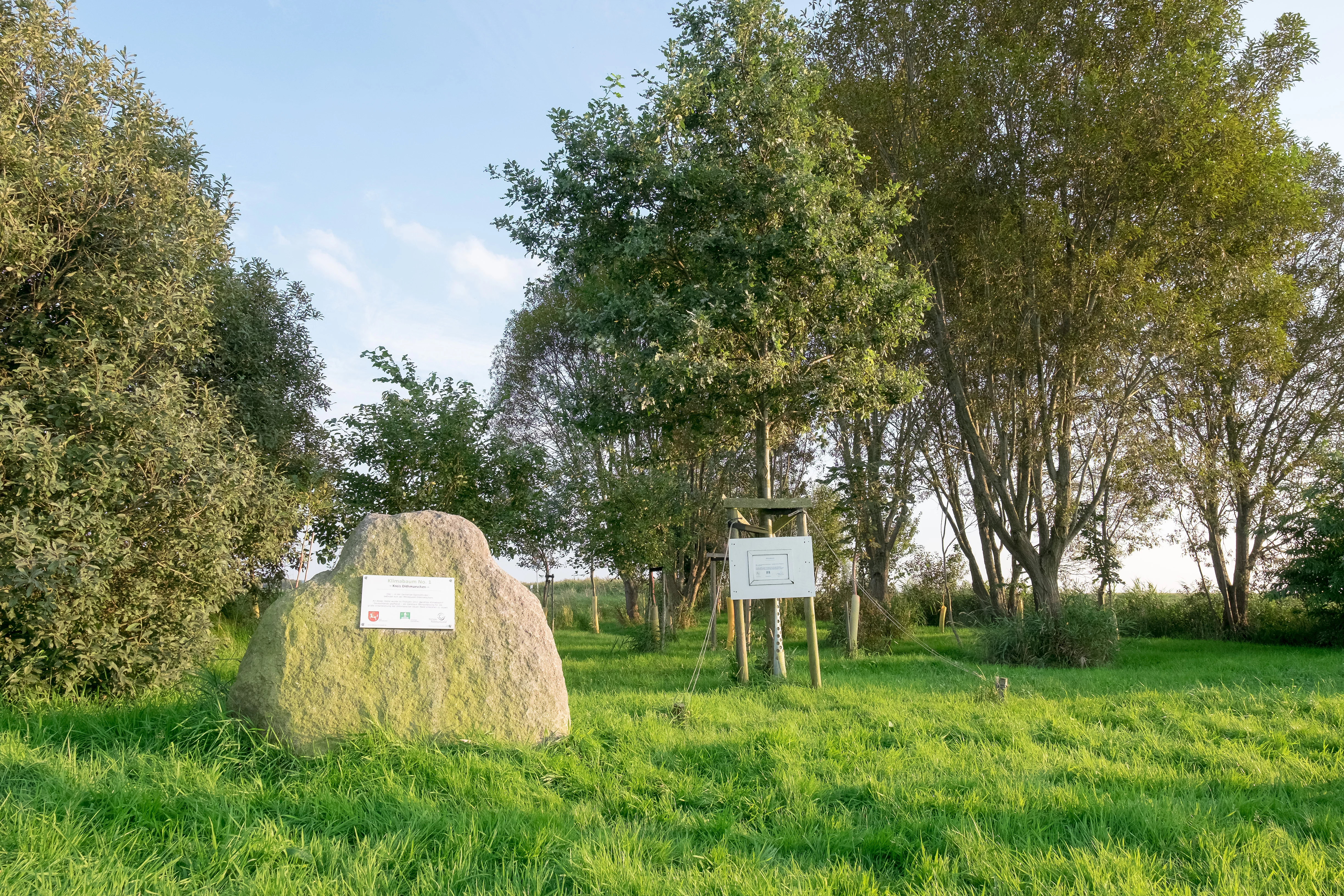 Mittelpunkt Dithmarschen und Klimabaum